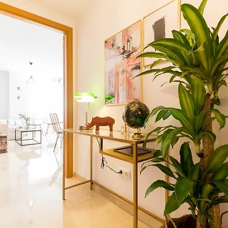 Maria Zambrano Premium